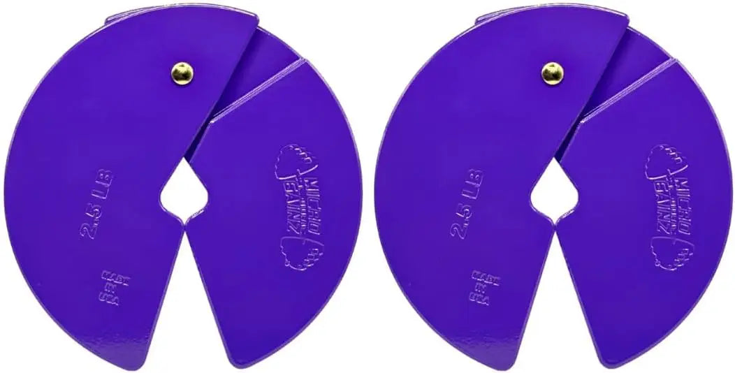Dumbbell Fractional 2.5 lb Weight Plate, Ideal for Micro Loading,