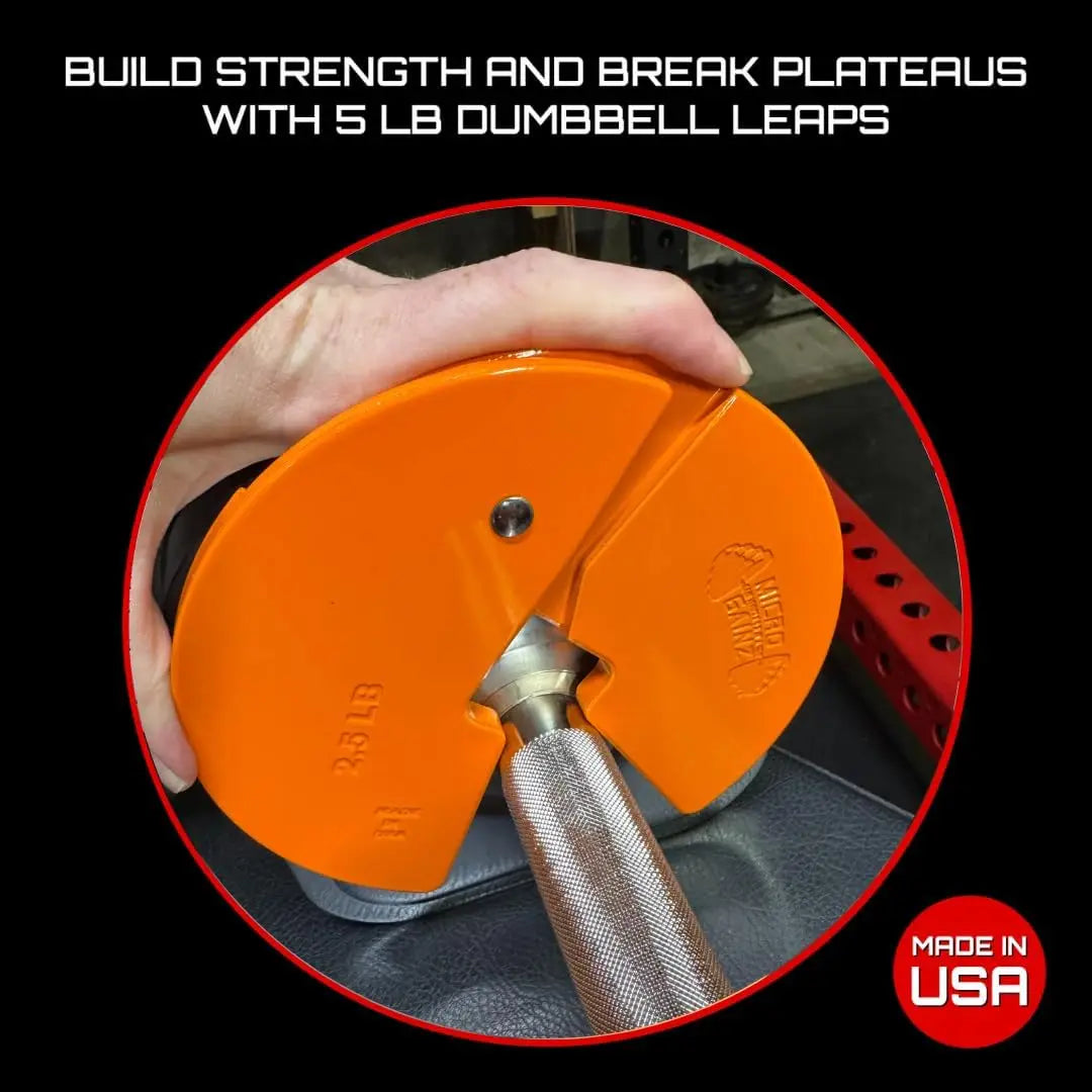 Dumbbell Fractional 2.5 lb Weight Plate, Ideal for Micro Loading,