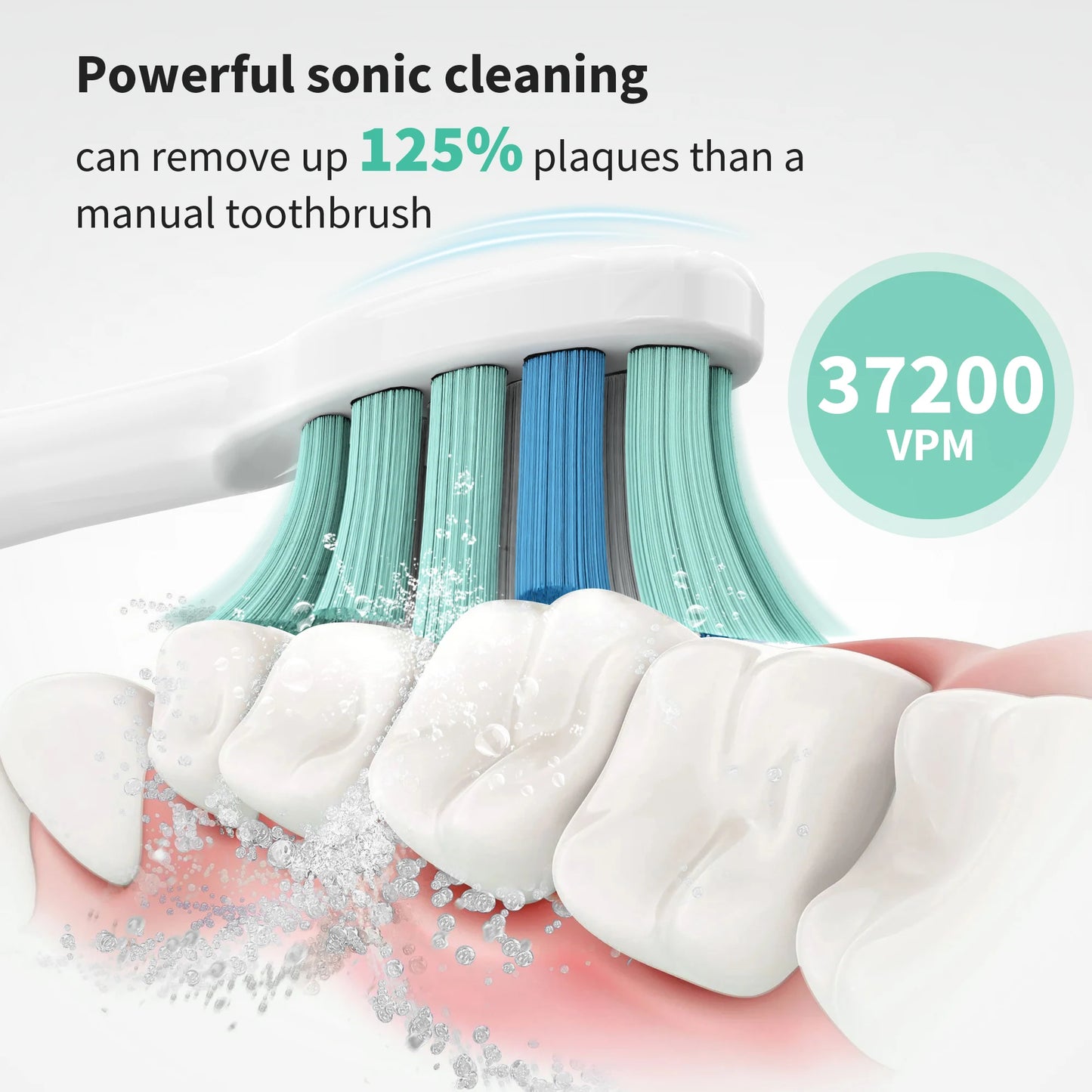 Sonic Electric Toothbrush for Adults Dental Rechargeable 5 Cleaning Modes