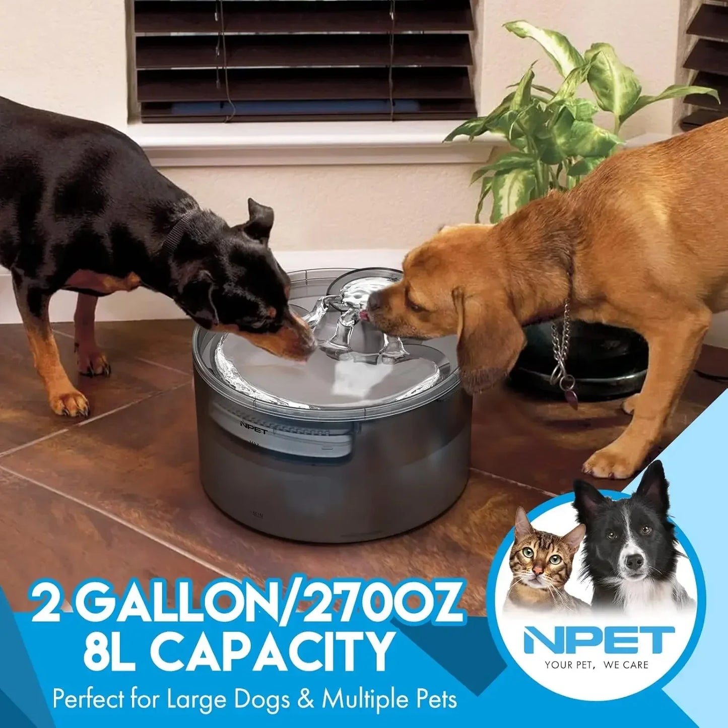 Dog Water Fountain, 2 Gallon Large Automatic Dog Water Dispenser